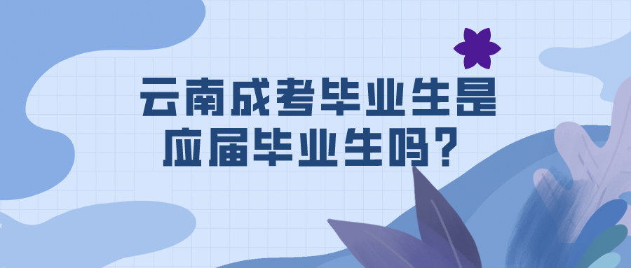 云南成考畢業(yè)生是應(yīng)屆畢業(yè)生嗎？